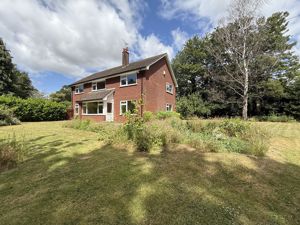 Photo 10- click for photo gallery